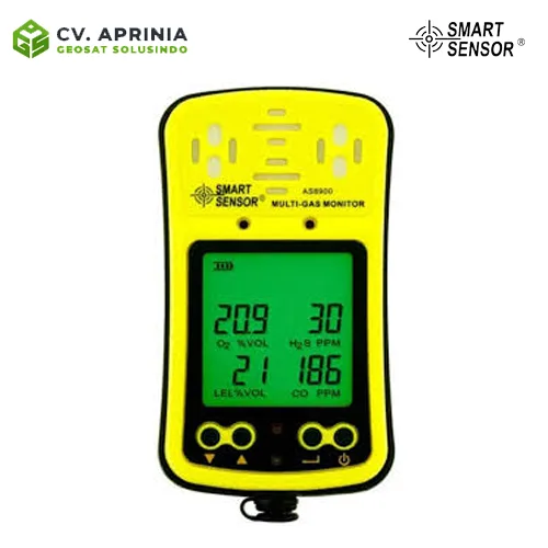 SMART SENSOR AS8900 Portable 4 in 1 Gas Detector